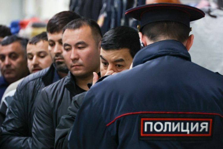 В отношении нелегальных мигрантов будут применять режим "высылка"