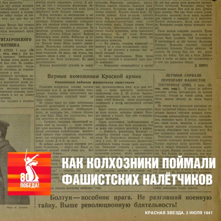 Героизм в тылу. История колхозников, пленивших врага