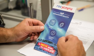 Мурманская область демонстрирует высокий уровень цифровизации массовых услуг
