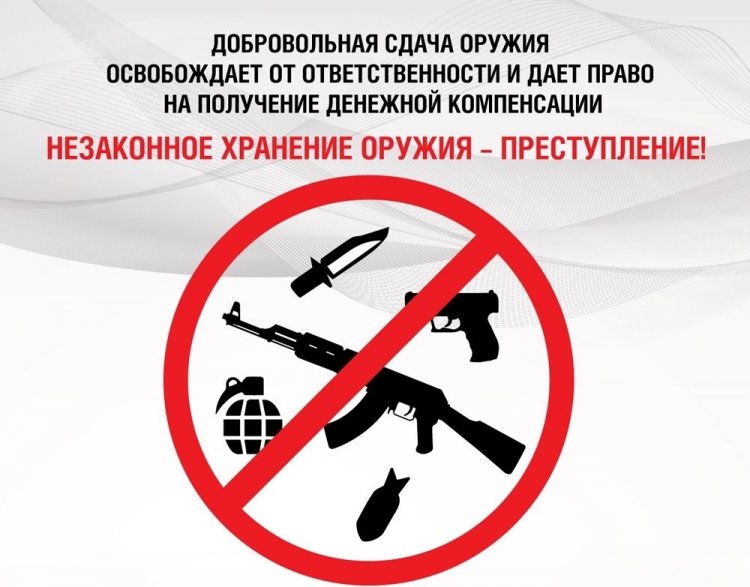 В Мурманской области увеличили выплаты за сданное оружие
