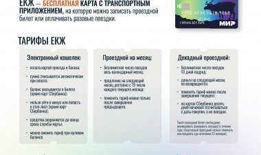 Как получить новую пластиковую карту для транспорта Мурманской области