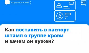Группа крови в паспорте: зачем она там и как её вписать