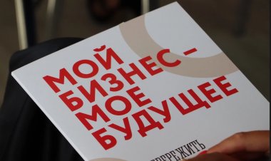 «Губернаторский старт»: программа грантов для бизнеса в Мурманской области расширяет возможности