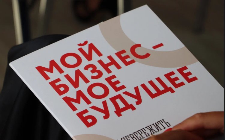 «Губернаторский старт»: программа грантов для бизнеса в Мурманской области расширяет возможности
