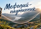 Ветровка или панама? Спрашиваем у паука-бокохода