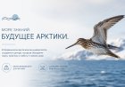 На базе Мурманского арктического университета создадут Учебный центр морской медицины и Центр морских млекопитающих и птиц