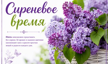 Северная нежность