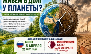 День окружающей среды и экологический долг