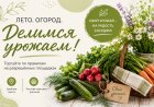 В Ковдоре определили места для торговли урожаем