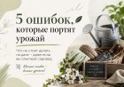 Огород  без хлопот