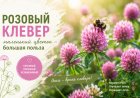 Цветет клевер — лето в Заполярье в самом разгаре