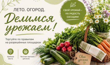В Ковдоре определили места для торговли урожаем