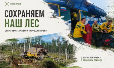 В Ковдорском округе с начала месяца произошло два лесных пожара