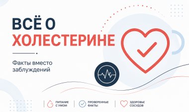 Всё о холестерине