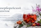 Творческий коллектив Ковдорского округа принял участие в фестивале искусств «Табуретка» в Мончегорске