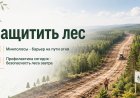 В Зашейковском, Ёнском и Ковдорском лесах завершены противопожарные работы