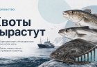 Квоты на треску, пикшу и палтус в 2027 году вырастут