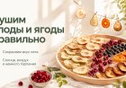 Сушим плоды и ягоды правильно