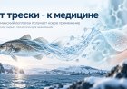От трески к медицине: новое применение мурманского коллагена
