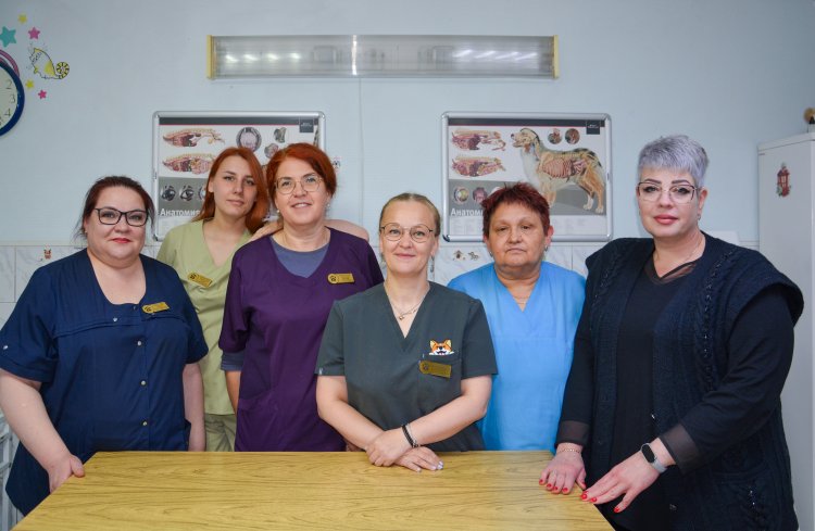 День ветеринара в Ковдоре
