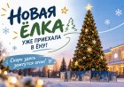 Ёлочка, гори и радуй!