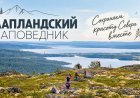 Красота тундры, олени и Терем Деда Мороза: Лапландский заповедник ждёт гостей