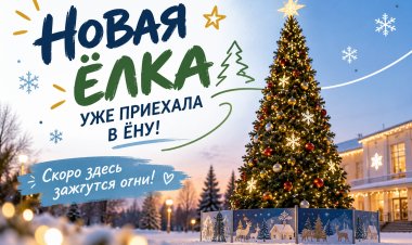 Ёлочка, гори и радуй!