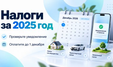 Налоги за 2025 год: проверьте уведомление и оплатите до 1 декабря
