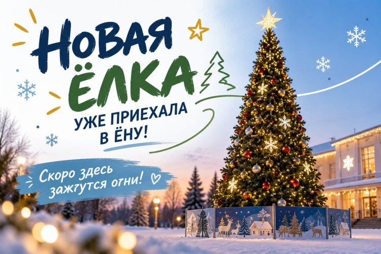 Ёлочка, гори и радуй!