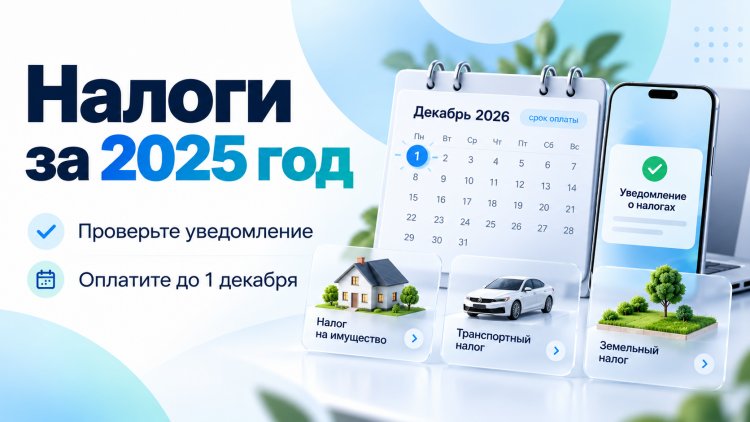 Налоги за 2025 год: проверьте уведомление и оплатите до 1 декабря